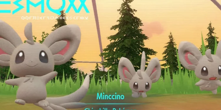 How To Evolve Minccino in Pokemon Scarlet & Violet
