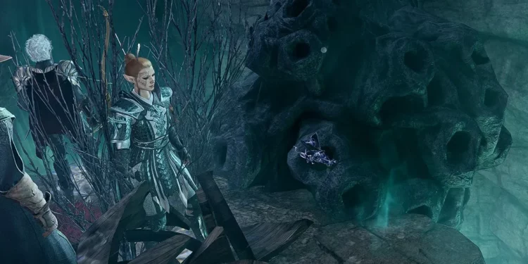 How To Find Night Orchids in Baldur’s Gate 3
