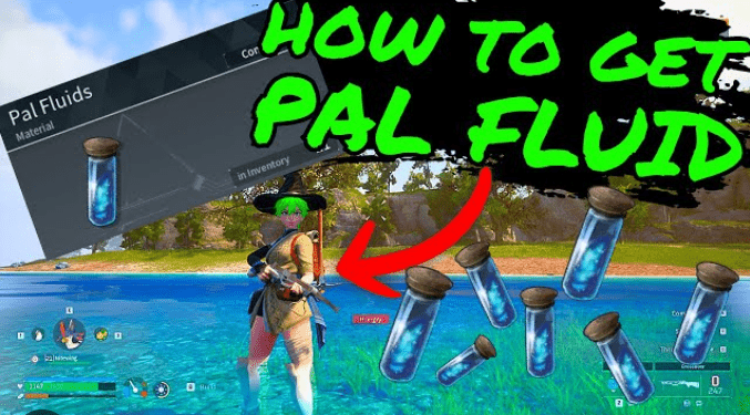 How to Get PAL Fluid