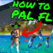How to Get PAL Fluid