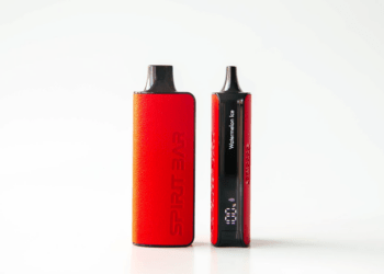 10 Best Cheap & Budget Disposable Vape In 2024