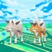How To Evolve Rockruff into its Dusk Form in Pokemon GO