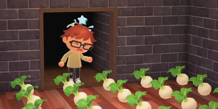 How To Get Turnips in Animal Crossing