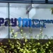 ED finds no FEMA violation in the case against Paytm Payments Bank