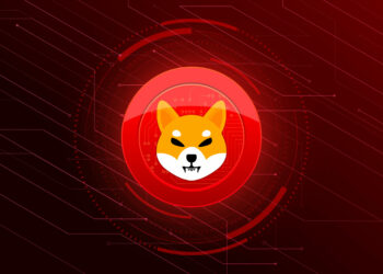 Shiba Inu surpass Dogecoin