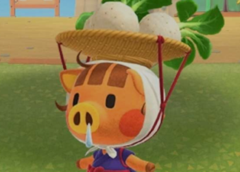 How to Buy Turnips Animal Crossing