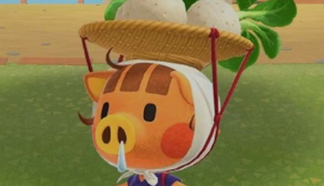 How to Buy Turnips Animal Crossing