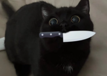 How to Evil Boop Tumblr