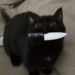 How to Evil Boop Tumblr