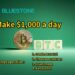 How to make money online? BluestoneMining teaches you how to make $1000 a day.
