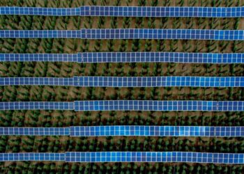 Germany’s Solar Energy Boom: Too Much of a Good Thing?