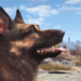 How To Find Dogmeat in Fallout 4