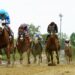 How To Watch Preakness 2024