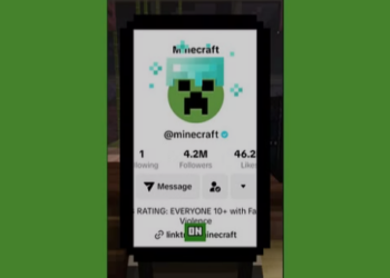 How to Get Minecraft TikTok Frame