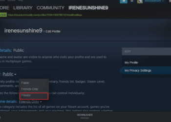How to Hide Recent Activity on Steam