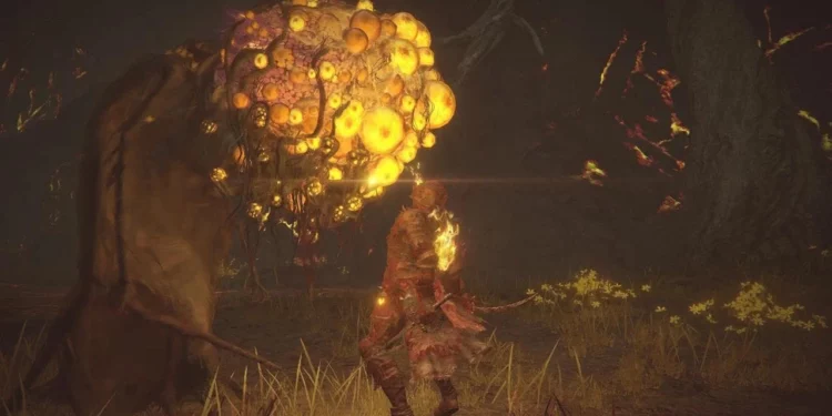 How to Get to Abyssal Woods in Elden Ring’s Shadow of the Erdtree DLC