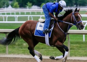 How To Watch the Belmont Stakes 2024