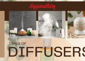 The Ultimate Guide to Different Types of Diffusers