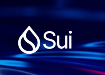 Demystifying the Sui Network: A Comprehensive Guide to the Future of Connectivity