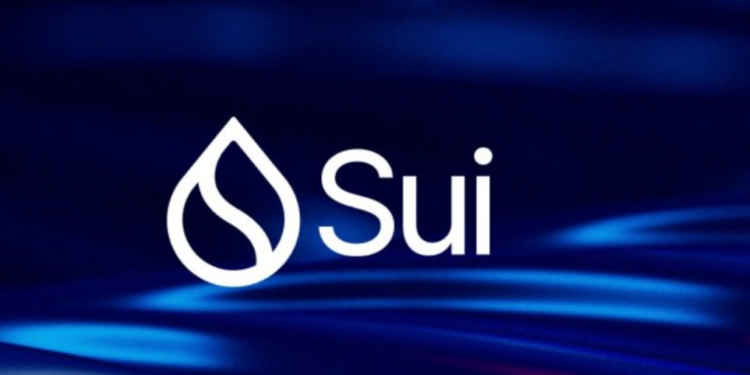 Demystifying the Sui Network: A Comprehensive Guide to the Future of Connectivity