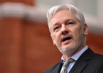 Julian Assange Plea Deal