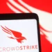 Crowd Strike