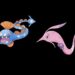 How to Get Huntail in Pokémon GO
