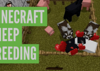 Credit: Youtube