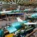 Boeing Appoints New CEO Amidst Mounting Financial Challenges