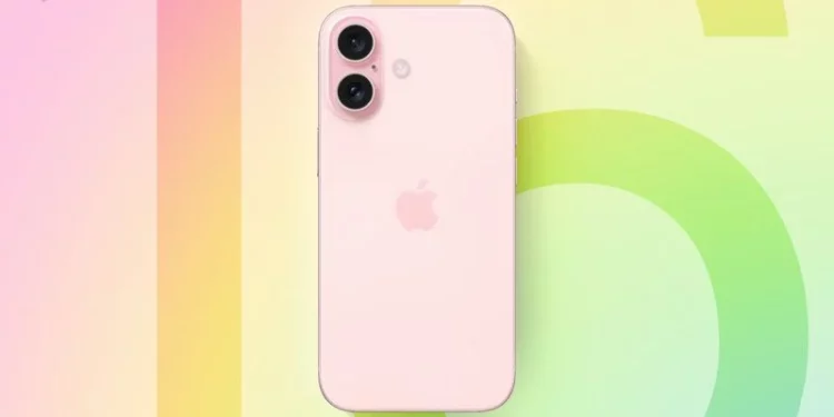 iPhone 16 models
