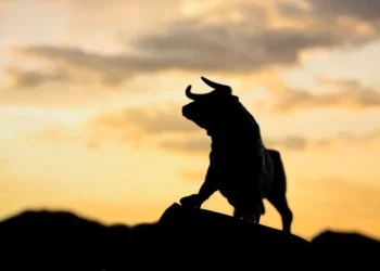 Bullish Option Trading Strategies