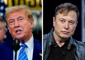 Elon Musk Donald Trump Interview