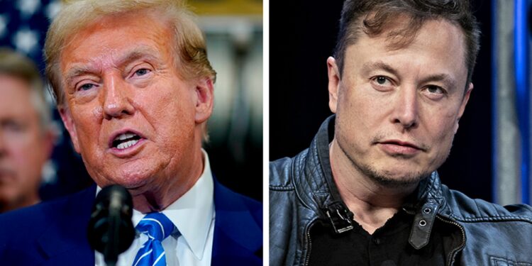 Elon Musk Donald Trump Interview