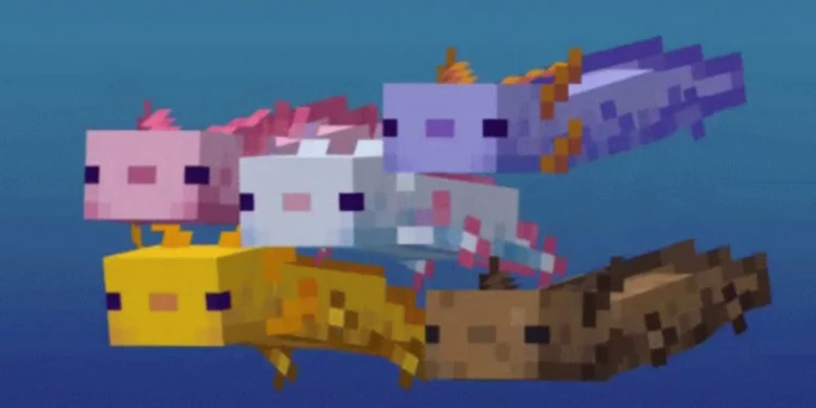 How to Get a Blue Axolotl in Minecraft