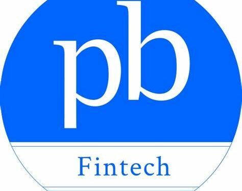 Indian Fintech Firm PB Fintech Tops Global Charts After Doubling in 2024
