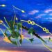 How to Mega Evolve Rayquaza in Pokémon Go