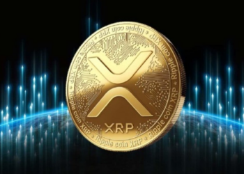 RCO Finance’s (RCOF) Robo Advisor Can Turn you into a Ripple (XRP) Whale, Here’s How
