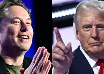 Musk And Trump