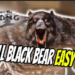 Credit: Youtube