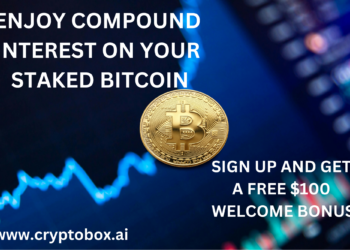 Can Bitcoin Go to Zero?