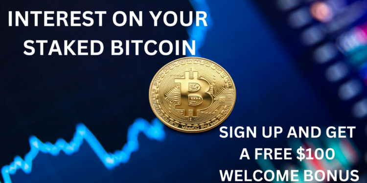 Can Bitcoin Go to Zero?