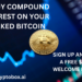 Can Bitcoin Go to Zero?