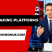 Top Staking Platforms: Why StakingBonus Leads the Pack