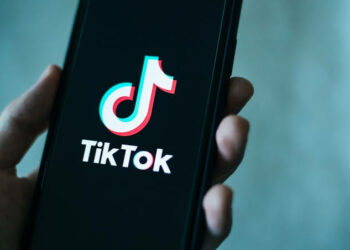 TikTok Challenges U.S. Law, Calling Attention to Other Chinese Firms Like Temu and Shein