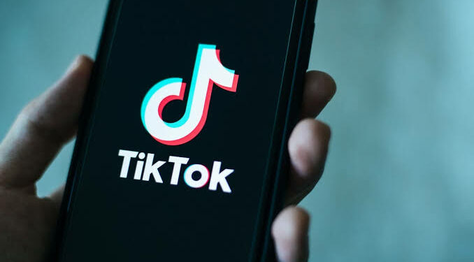 TikTok Challenges U.S. Law, Calling Attention to Other Chinese Firms Like Temu and Shein
