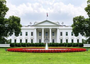 AI Power Players Head to the White House to Tackle Tech’s Energy Demands