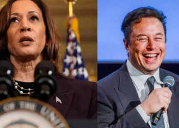 Elon Musk Kamala Harris