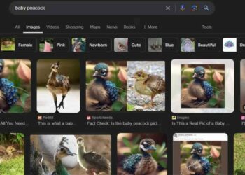 Concerns Rise Over AI-Generated Images in Google Search Results