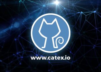Everything You Need to Know About CATEX Coin