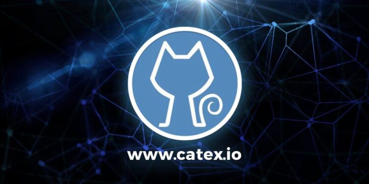 Everything You Need to Know About CATEX Coin
